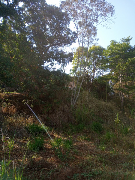 Sítio à venda Marimbá com 10000m² e 6 quartos por R$ 690.000 - 114239256-img-20220904-082914-070.jpg