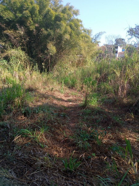 Sítio à venda Marimbá com 10000m² e 6 quartos por R$ 690.000 - 380615102-img-20220904-082831-623.jpg