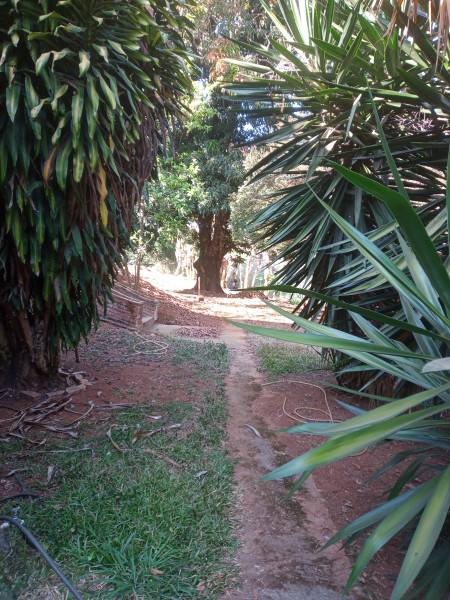 Sítio à venda Marimbá com 10000m² e 6 quartos por R$ 690.000 - 440436837-img-20220904-082140-572.jpg