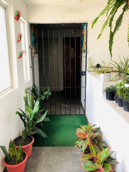 Apartamento à venda Jardim Atlântico com 50m² e 2 quartos por R$ 130.000 - 1209867949-whatsapp-image-2023-05-29-at-10.jpeg