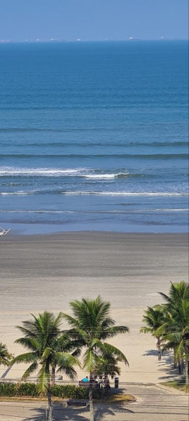 Apartamento à venda Tupi com 50m² e 1 quarto por R$ 220.000 - 458047754-26b8ed86-4301-42b6-a66b-00364801a56c.jpeg