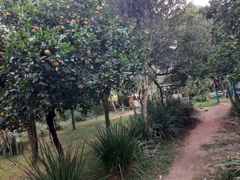 Casa à venda Lomba Grande com 2730m² e 3 quartos por R$ 300.000 - 1170491917-8d473879-307f-4999-964f-cd26e5c6ca42.jpeg