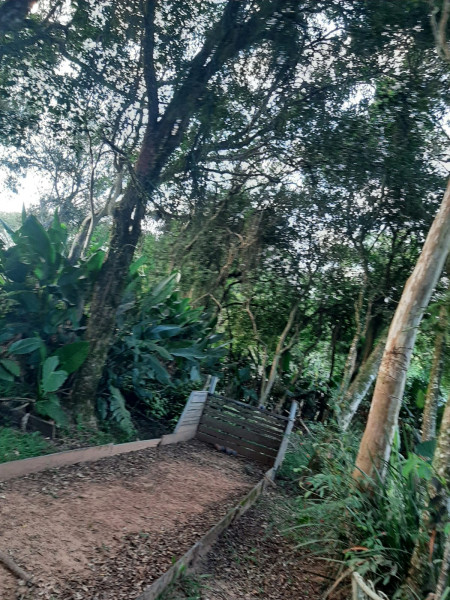 Casa à venda Lomba Grande com 2730m² e 3 quartos por R$ 300.000 - 1682885857-e5905b43-a8e8-4ebf-bb26-912be84211f8.jpeg