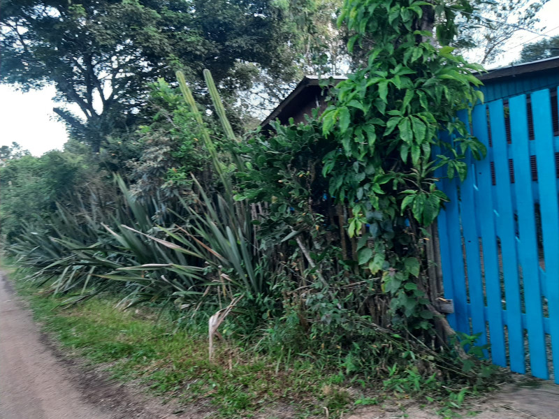 Casa à venda Lomba Grande com 2730m² e 3 quartos por R$ 300.000 - 1873743790-a1809ce3-cc4c-4129-aece-b633f9ece6c5.jpeg