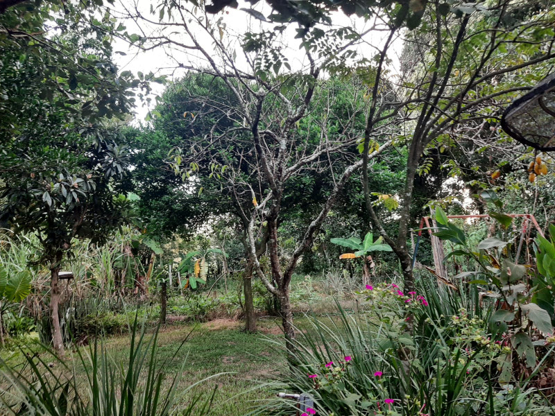 Casa à venda Lomba Grande com 2730m² e 3 quartos por R$ 300.000 - 241089066-78816002-10ec-4afe-93c2-6279657396ff.jpeg