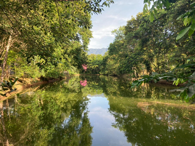 Casa à venda Figueira (Pé da Serra) com 600m² e 4 quartos por R$ 800.000 - 624733786-9f6e3bd0-554a-42b0-9c2a-102a4cf6a1fc.jpeg