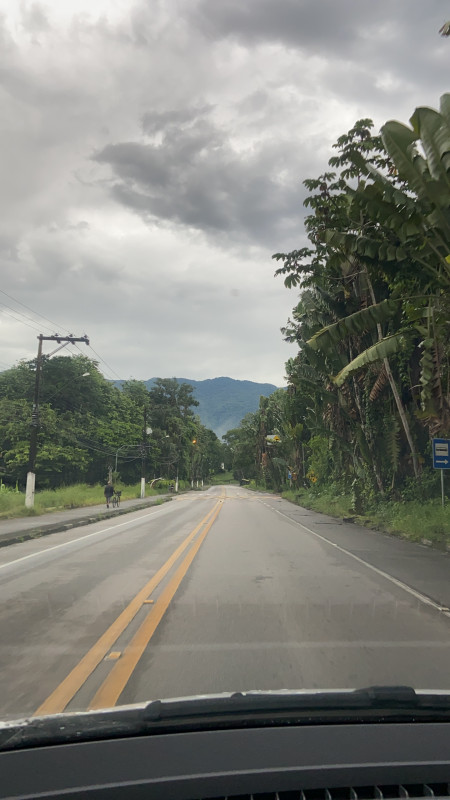 Casa à venda Figueira (Pé da Serra) com 600m² e 4 quartos por R$ 800.000 - 864211986-50ba0928-ade6-4919-8f88-545469b6985b.jpeg