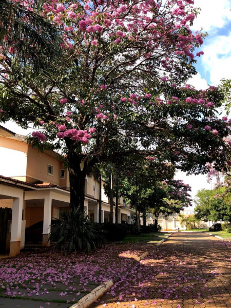 Casa de condomínio à venda Jardim Santa Genebra com 135m² e 3 quartos por R$ 850.000 - 1485515253-c6d31221-49ce-48c9-9dbd-128991aea936.jpeg