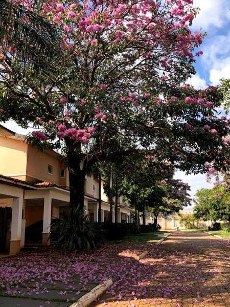 Casa de condomínio à venda Jardim Santa Genebra com 135m² e 3 quartos por R$ 850.000 - 757856351-566d44db-6e66-4df3-8123-786d0659197b.jpeg