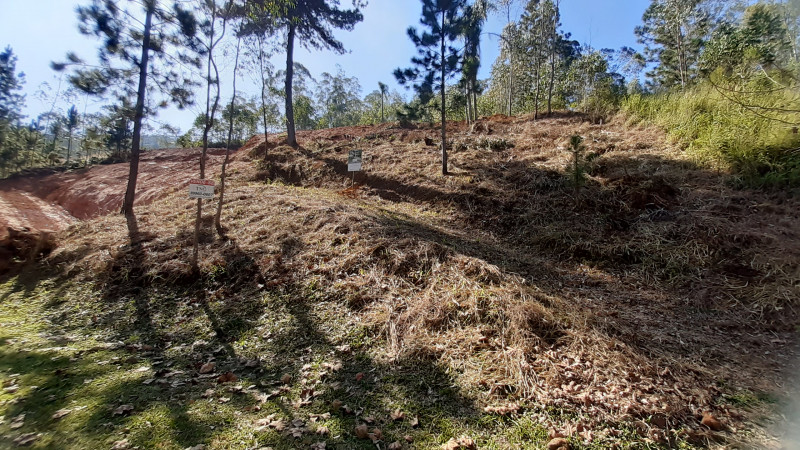 Terreno à venda SERRA DA CANTAREIRA  com 1180m² e 1 quarto por R$ 320.000 - 849539857-18.jpg