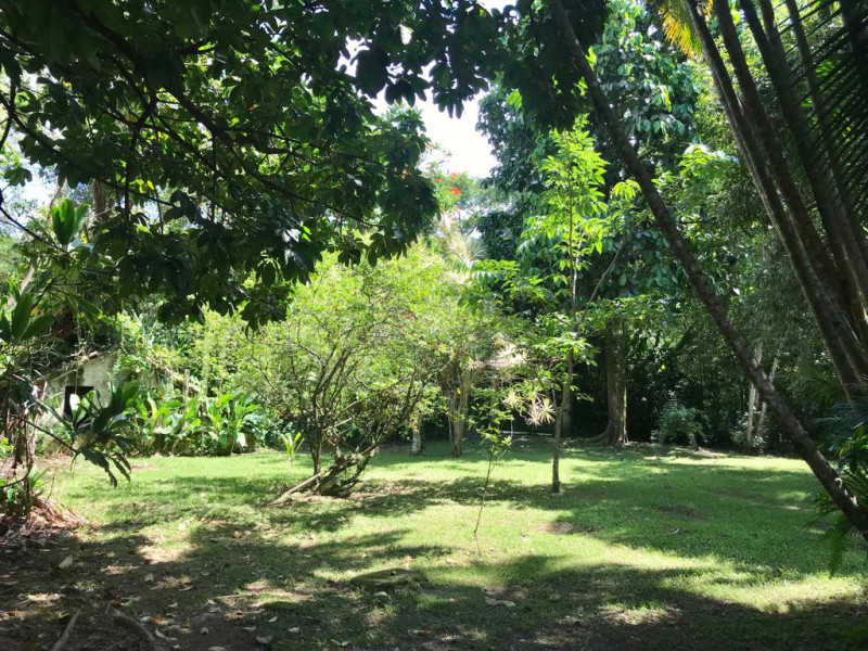 Sítio à venda Vargem Grande com 1875m² e 6 quartos por R$ 1.280.000 - 1853523292-photo-2022-05-05-10-58-25.jpg