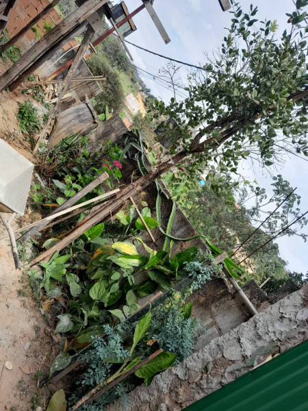 Casa à venda Vista Alegre  com 90m² e 5 quartos por R$ 150.000 - 1649219757-img-20230601-wa0052.jpg