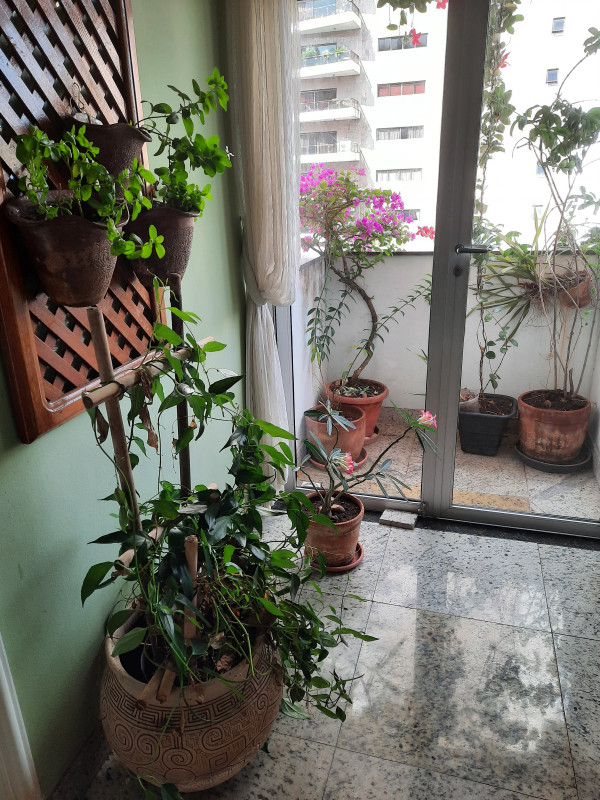 Apartamento à venda Nazaré com 148m² e 3 quartos por R$ 745.000 - 863678458-20200828-153606.jpg