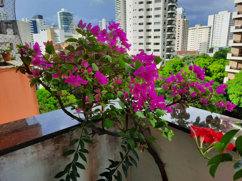 Apartamento à venda Nazaré com 148m² e 3 quartos por R$ 745.000 - 963955047-20200828-153902.jpg