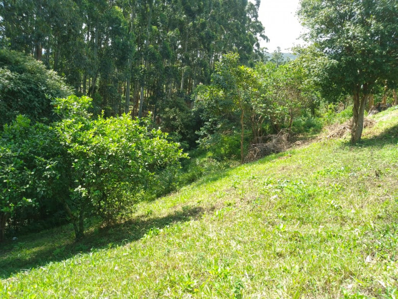 Terreno à venda Florestal  com 1000m² e 1 quarto por R$ 100.000 - 1386391653-img-20230617-wa0001.jpg