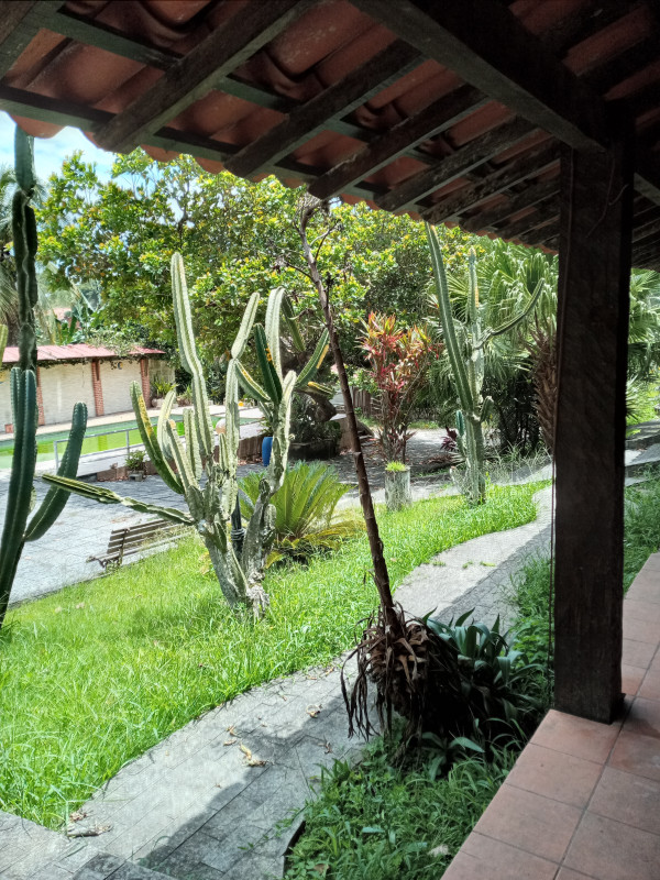 Sítio à venda Piratininga com 24000m² e 4 quartos por R$ 1.250.000 - 1281685514-20230215-123230.jpg