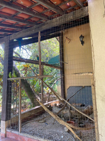 Sítio à venda Piratininga com 24000m² e 4 quartos por R$ 1.250.000 - 1769160513-img-20230403-wa0053.jpg