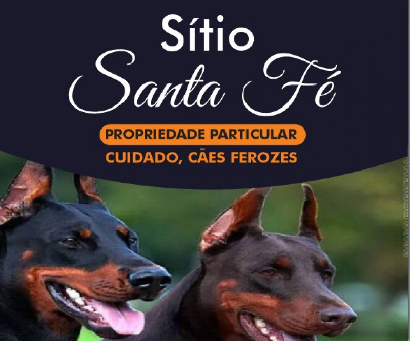 Sítio à venda Piratininga com 24000m² e 4 quartos por R$ 1.250.000 - 328959119-img-20230410-wa0073.jpg