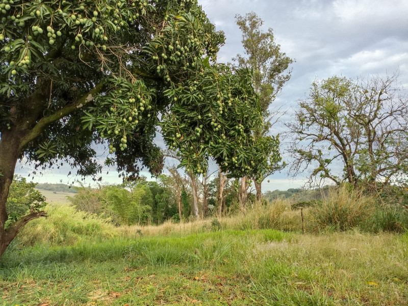 Terreno à venda Centro com 10000m² e 1 quarto por R$ 150.000 - 1447292509-whatsapp-image-2023-01-18-at-12.jpeg