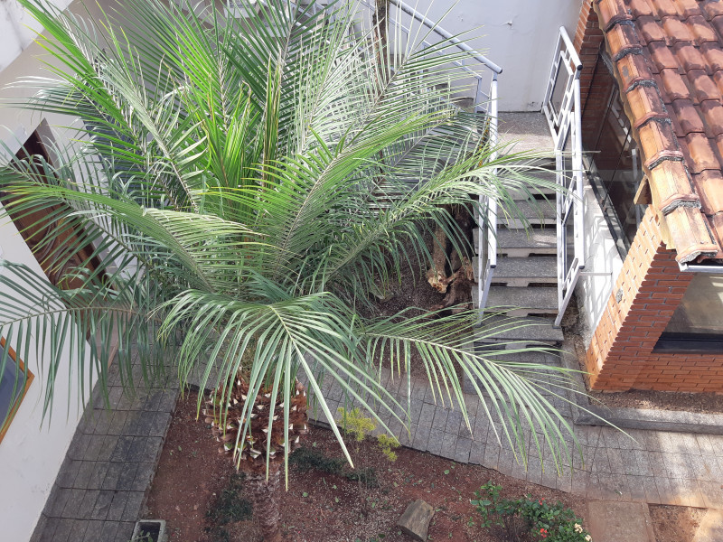 Casa à venda Jardim do Mar com 345m² e 3 quartos por R$ 2.200.000 - 1797786664-20230507-100338.jpg