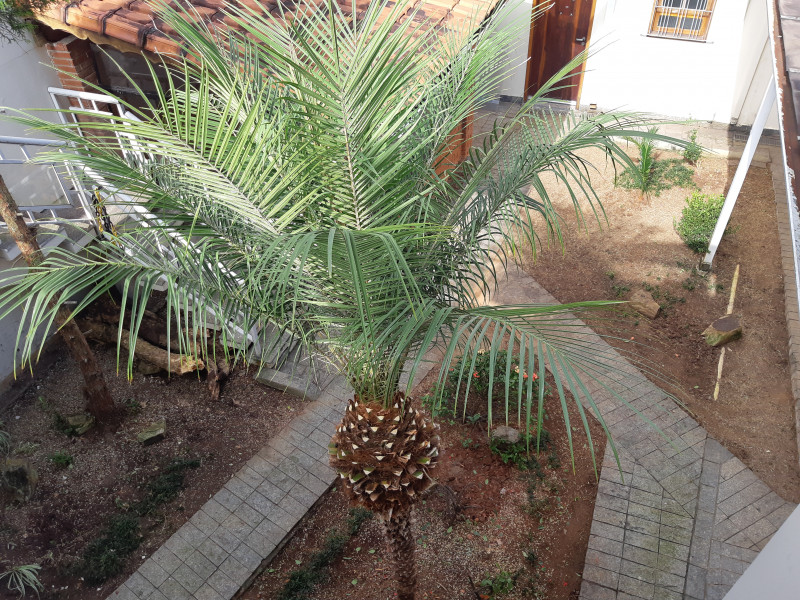 Casa à venda Jardim do Mar com 345m² e 3 quartos por R$ 2.200.000 - 2056033026-20230507-100214.jpg