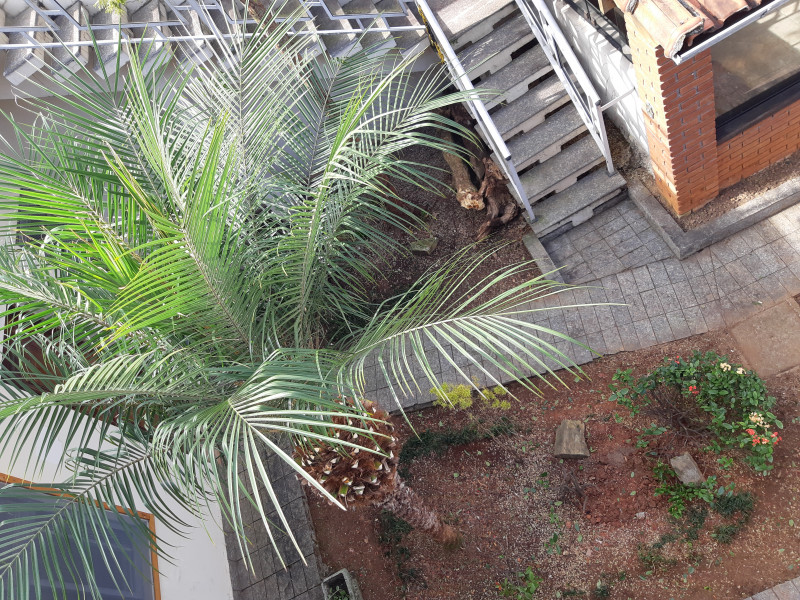 Casa à venda Jardim do Mar com 345m² e 3 quartos por R$ 2.200.000 - 650273136-20230507-100411.jpg