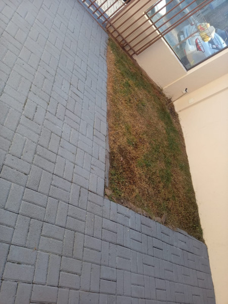 Casa de condomínio à venda 14 de Novembro com 58m² e 2 quartos por R$ 250.000 - 2134751412-jardim-da-frente.jpeg