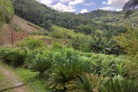 Terreno à venda Centro com 2550m² - 1 dormitório -  vagas - R$ 700.000 - 1633717559-img-20230109-104113.jpg