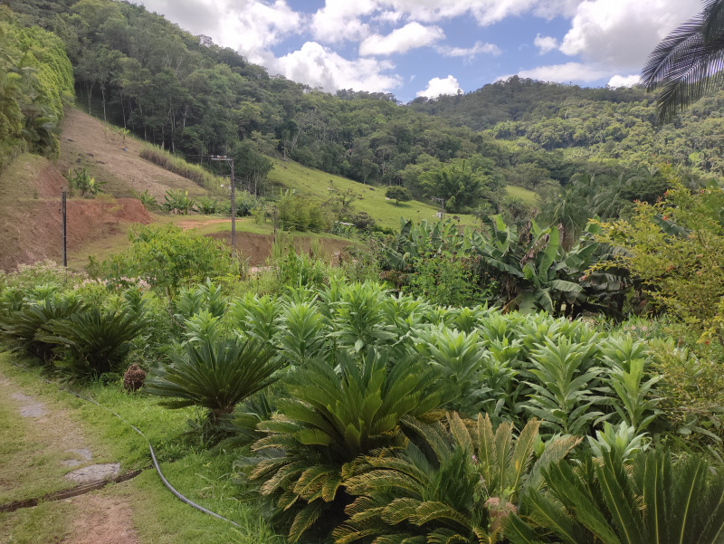 Terreno à venda Centro com 2550m² e 1 quarto por R$ 700.000 - 1633717559-img-20230109-104113.jpg