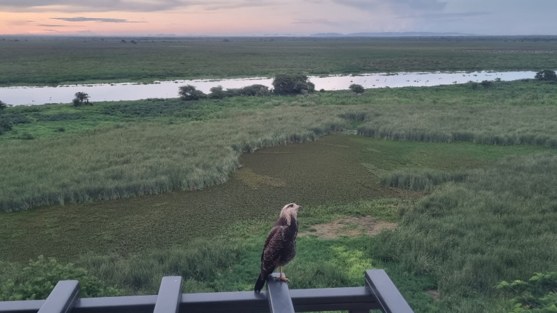 Casa à venda Generoso com 300m² e 4 quartos por R$ 1.500.000 - 17131834-20230201-183844.jpg