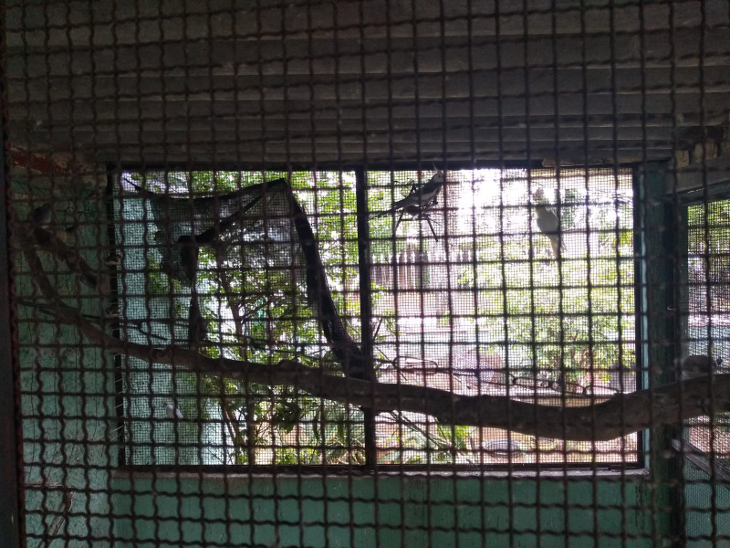 Casa à venda Vila Liviero com 200m² e 4 quartos por R$ 999.000 - 388728545-img-20230622-wa0016.jpg