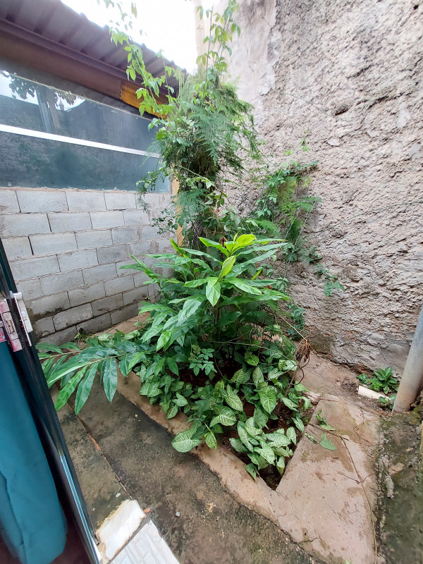 Casa à venda Parque Estrela Dalva V com 510m² e 3 quartos por R$ 220.000 - 745591018-20221103-151806.jpg