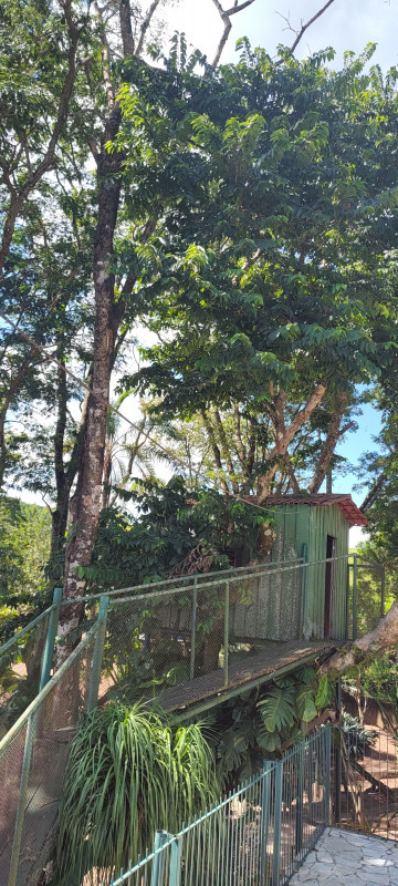 Chácara à venda Monterrey com 360m² e 3 quartos por R$ 1.200.000 - 550966334-img-20230401-140013523.jpg