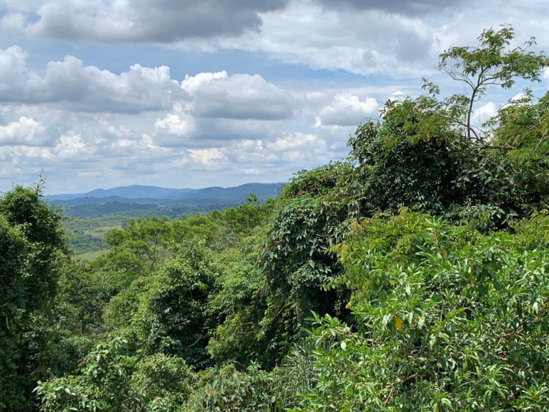 Casa de condomínio à venda Transurb com 276m² e 3 quartos por R$ 950.000 - 1536954537-42-vista-da-janela-da-suite-principal.jpeg