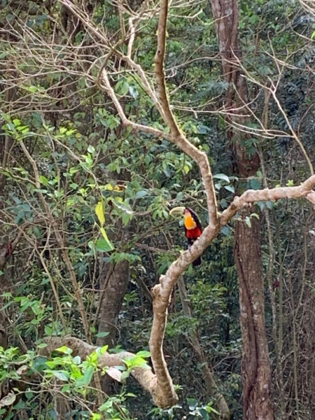 Casa de condomínio à venda Transurb com 276m² e 3 quartos por R$ 950.000 - 1799827300-10-tucano.jpeg