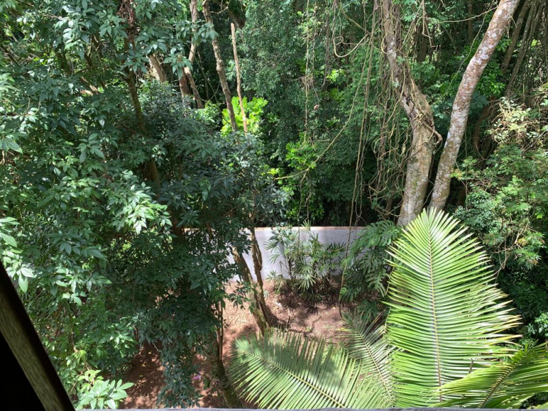 Casa de condomínio à venda Transurb com 276m² e 3 quartos por R$ 950.000 - 2143444946-61-quintal-iv.jpeg