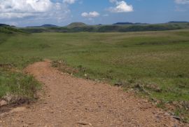 Terreno à venda Centro com 20000m² - 1 dormitório -  vagas - R$ 99.999 - 1320800870-20221212-144628.jpg