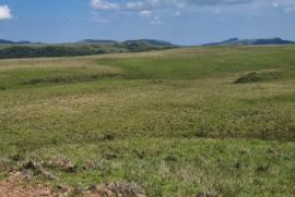 Terreno à venda Centro com 20000m² - 1 dormitório -  vagas - R$ 99.999 - 1445023371-20221212-144617.jpg