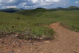 Terreno à venda Centro com 20000m² - 1 dormitório -  vagas - R$ 99.999 - 1508389787-20221212-144630.jpg