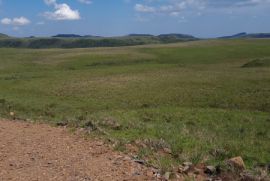 Terreno à venda Centro com 20000m² - 1 dormitório -  vagas - R$ 99.999 - 1675340107-20221212-144627.jpg