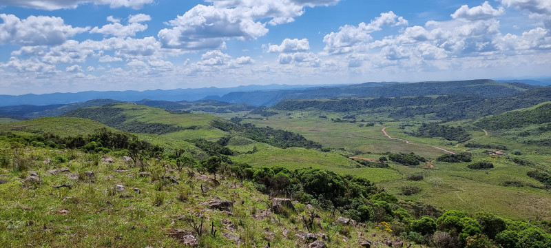 Terreno à venda Centro com 20000m² e 1 quarto por R$ 99.999 - 102930257-20221212-140705.jpg