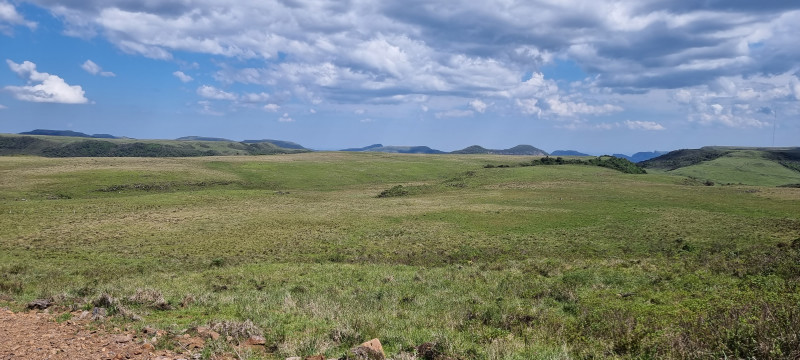 Terreno à venda Centro com 20000m² e 1 quarto por R$ 99.999 - 1032877172-20221212-144558.jpg