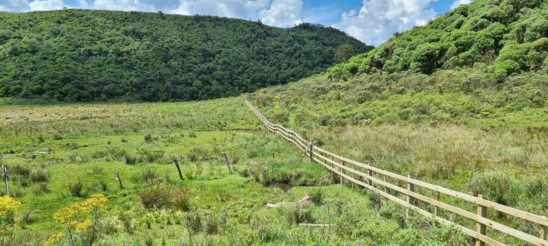 Terreno à venda Centro com 20000m² e 1 quarto por R$ 99.999 - 1091037322-20221212-135438.jpg