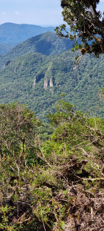 Terreno à venda Centro com 20000m² e 1 quarto por R$ 99.999 - 1232391647-20221212-143056.jpg