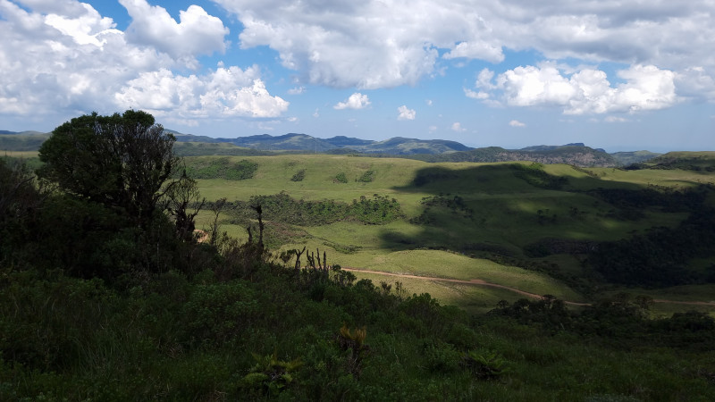 Terreno à venda Centro com 20000m² e 1 quarto por R$ 99.999 - 1257728452-20221212-141204.jpg