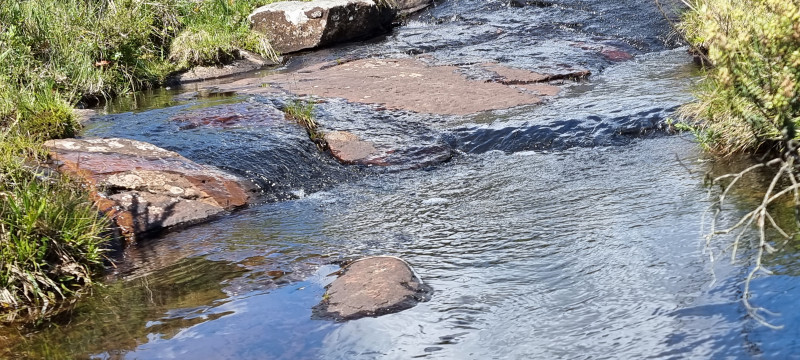 Terreno à venda Centro com 20000m² e 1 quarto por R$ 99.999 - 1318045972-20221212-145616.jpg