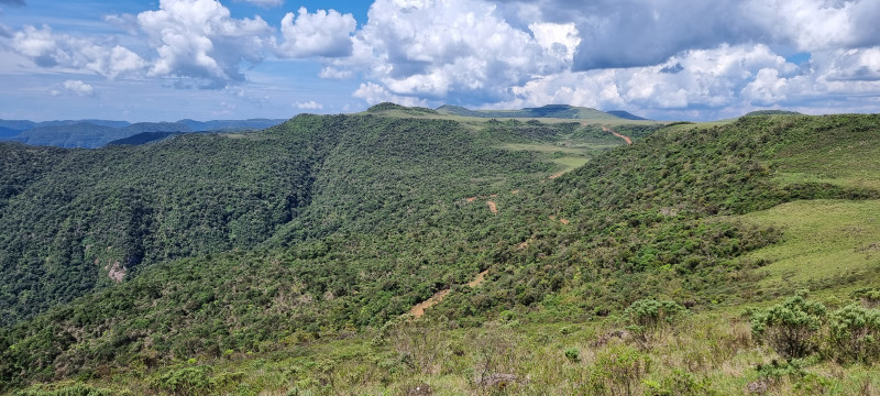 Terreno à venda Centro com 20000m² e 1 quarto por R$ 99.999 - 1325229473-20221212-143636.jpg