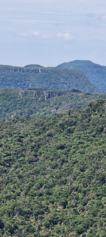 Terreno à venda Centro com 20000m² e 1 quarto por R$ 99.999 - 1342139855-20221212-144056.jpg