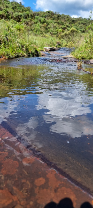 Terreno à venda Centro com 20000m² e 1 quarto por R$ 99.999 - 1342396139-20221212-145527.jpg