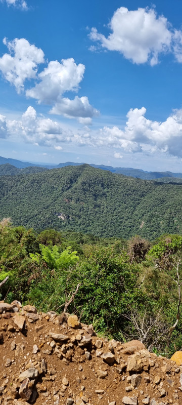 Terreno à venda Centro com 20000m² e 1 quarto por R$ 99.999 - 1347942374-20221212-143243.jpg